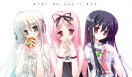 av3d动漫,AV3D动漫的奇幻之旅