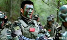 特种兵退伍电视剧,特种兵退伍传奇