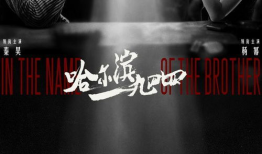 悬疑谍战电视剧,谍影重重